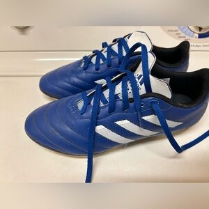 Adidas Predator soccer cleats